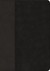 NLT Every Man’s Bible NLT, Large Print, Black, Indexed