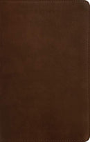 NLT Thinline Reference Filament Bible, Brown