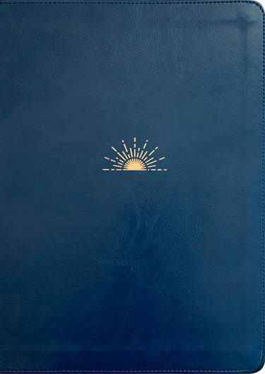 NLT Dayspring Hope & Encouragement Bible, Navy