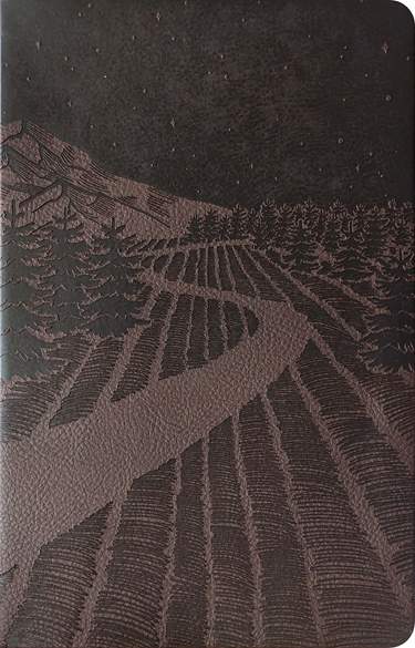 NLT Premium Gift Bible, Filament Enabled, Starlight Path Brown