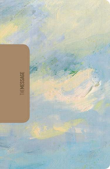 The Message Full Size Bible Sky Blue