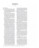 NIV Journal The Word Bible, Gray