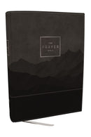 NIV Prayer Bible, Black/Gray