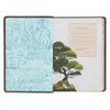 NLT Discovery Bible