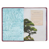 NLT Discovery Bible