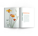 Gospel Truth For Women Series - You Stand In Grace
