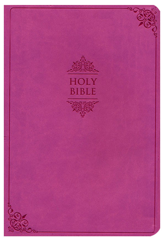 NIV Comfort Print New Value Thinline Bible