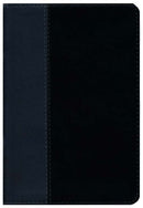 NLT Personal-Size Life Recovery Bible