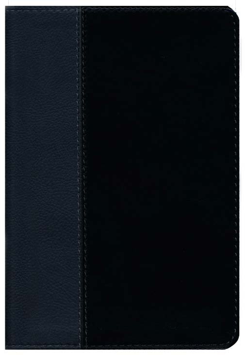 NLT Personal-Size Life Recovery Bible