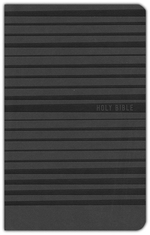 NIV Holy Bible for Boys