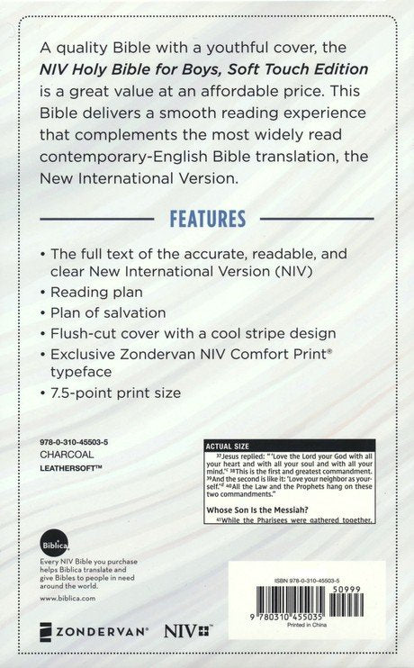 NIV Holy Bible for Boys