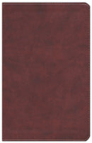 ESV Personal Size Large Print