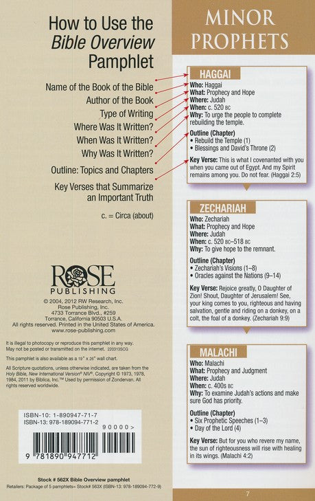 Bible Overview Pamphlet