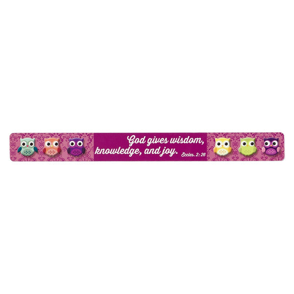 Wisdom for the Soul Magnetic Strip - Ecclesiastes 2:26